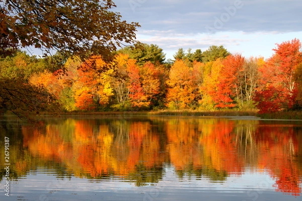 Obraz Autumn Reflection Iv