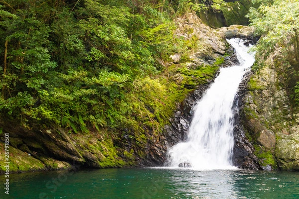 Obraz マテリヤの滝 鹿児島県大島郡大和村名音