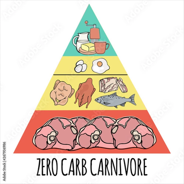 Obraz CARNIVORE PYRAMID Organic Healthy Food Proper Nutrition Mind Eating Vector Illustration Set
