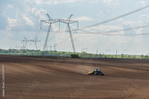 Fototapeta Spring fields with bloom rape and power lines.