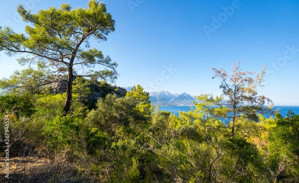 Obraz The coast of Mediterranean sea