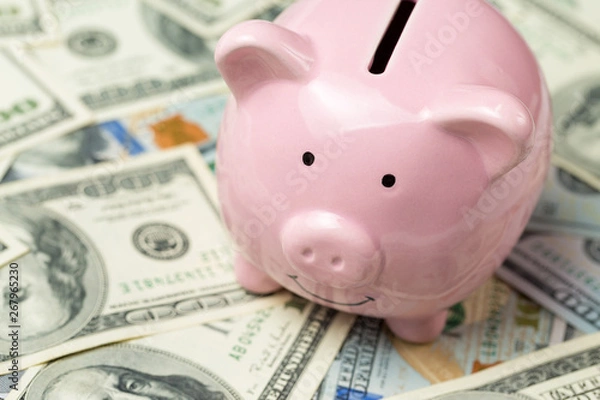 Fototapeta Pig piggy bank on the background of 100 US dollar bills and physical coins of bitcoins. Concept of wealth and exchange.