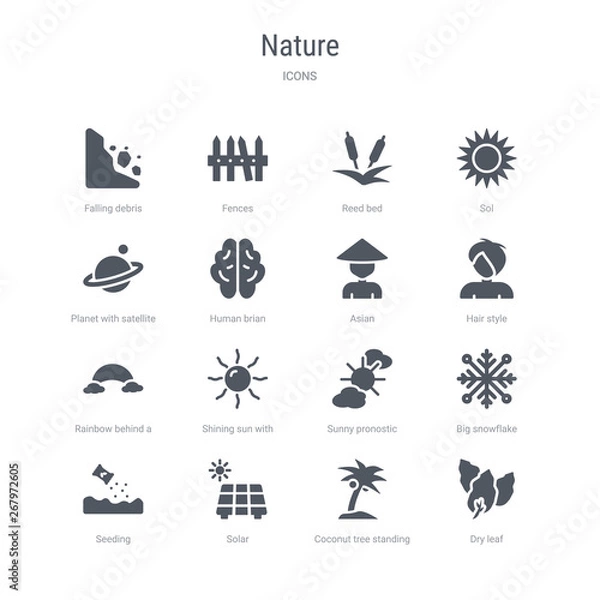 Fototapeta set of 16 vector icons such as dry leaf, coconut tree standing, solar, seeding, big snowflake, sunny pronostic, shining sun with rays, rainbow behind a cloud from nature concept. can be used for