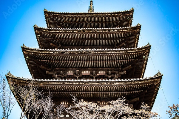 Fototapeta temple looking up
