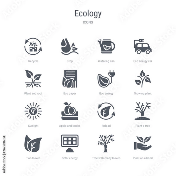 Fototapeta set of 16 vector icons such as plant on a hand, tree with many leaves, solar energy, two leaves, plant a tree, reload, apple and books, sunlight from ecology concept. can be used for web, logo,