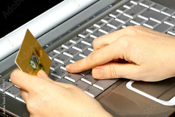 Obraz Internet Shopping 2