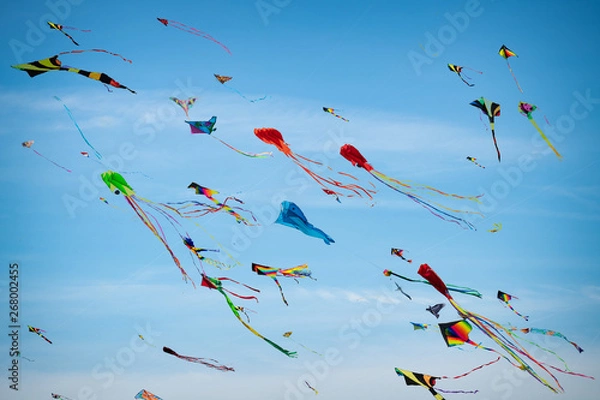 Obraz Kites Kites Kites