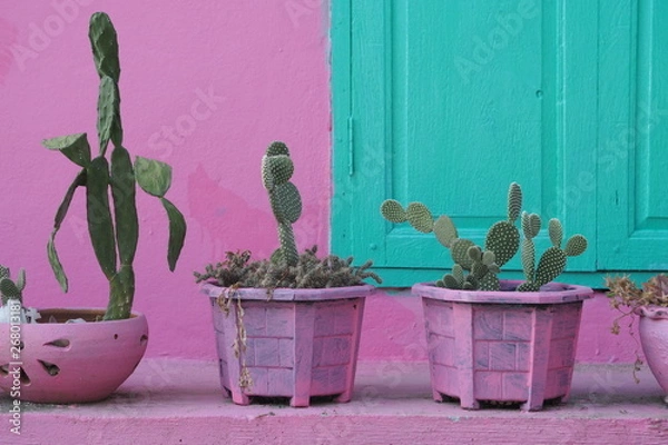 Fototapeta OLYMPUS DIGITAL CAMERA