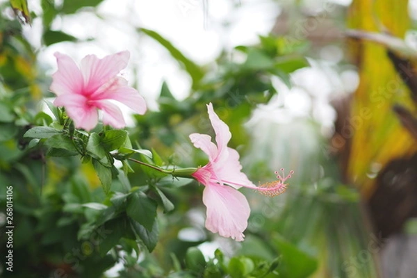 Obraz OLYMPUS DIGITAL CAMERA