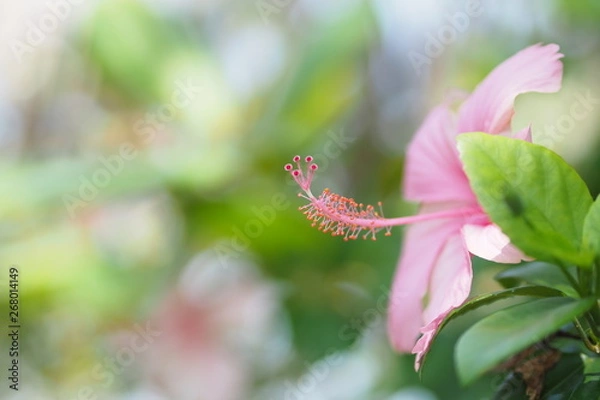 Obraz OLYMPUS DIGITAL CAMERA