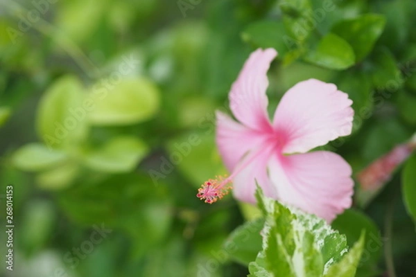 Obraz OLYMPUS DIGITAL CAMERA