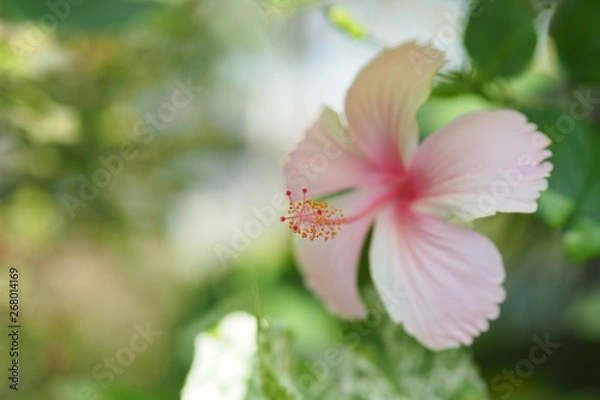 Obraz OLYMPUS DIGITAL CAMERA