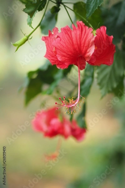 Obraz OLYMPUS DIGITAL CAMERA