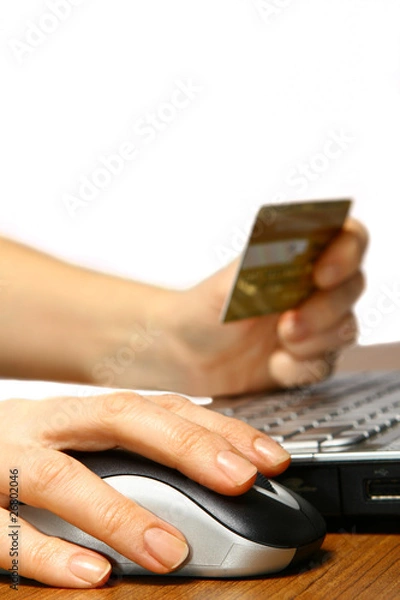 Obraz internet shopping 3