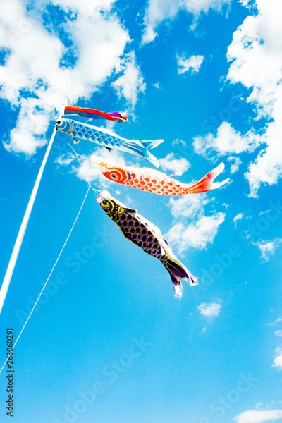 Obraz 日本の風習　節句（鯉のぼり）