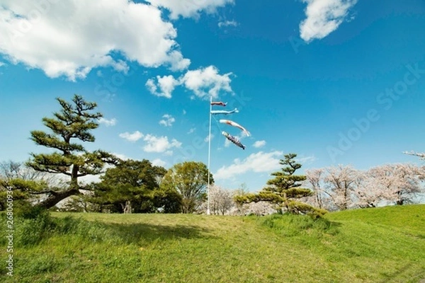 Obraz 日本5月の風景　節句（鯉のぼり）