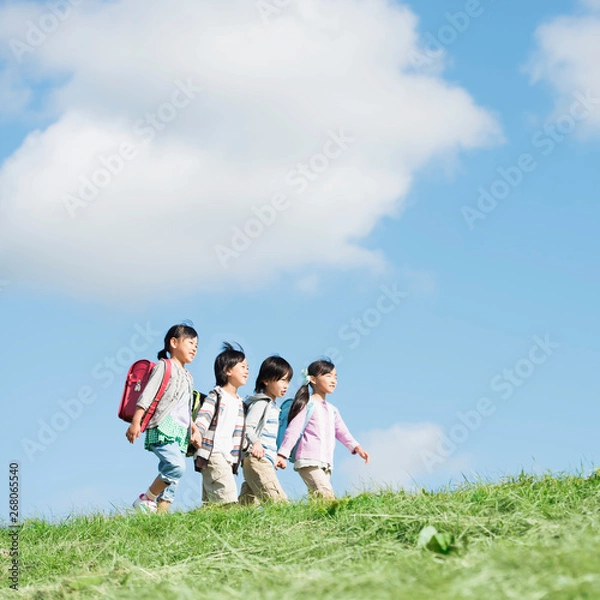 Fototapeta 草原を歩く小学生