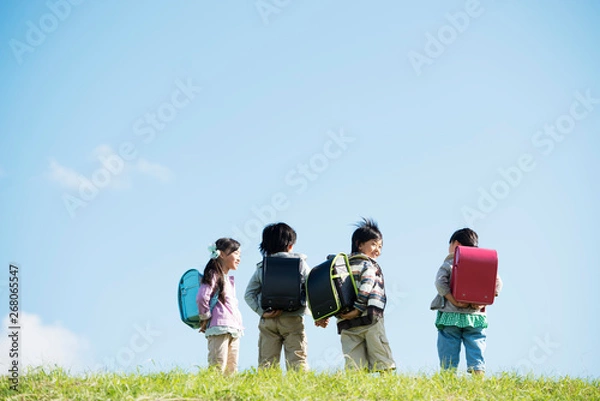 Fototapeta 草原に並ぶ小学生の後姿