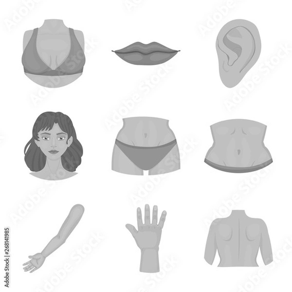 Fototapeta Vector design of body and part sign. Set of body and anatomy vector icon for stock.