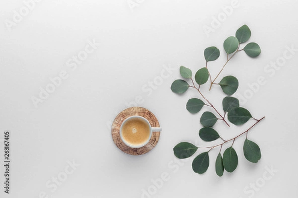 Fototapeta coffee cub plant  eucalyptus table top view with copy space for your text. flat lay. 