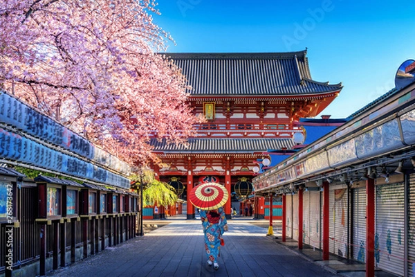 Obraz Azjatycka kobieta ubrana w tradycyjne japońskie kimono w świątyni w Tokio, Japonia.