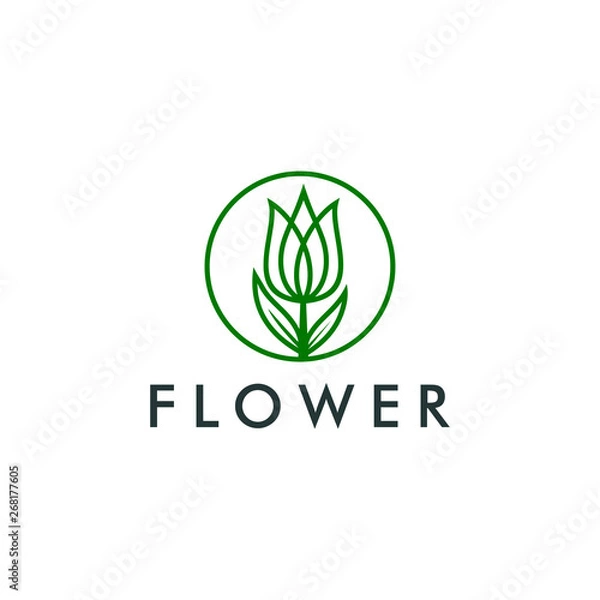 Obraz Tulip flower logo, floral linear logotype - vector