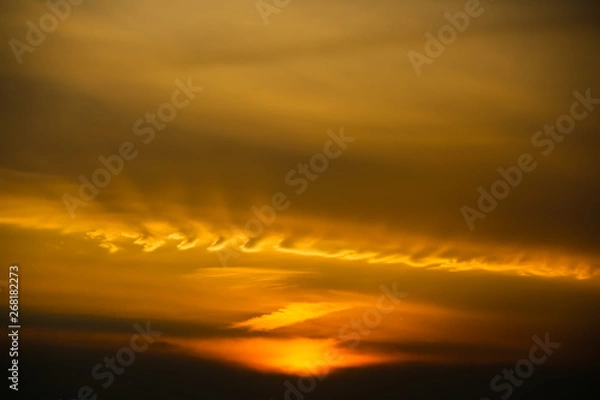 Obraz Golden cloud