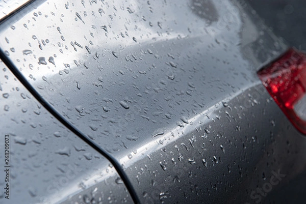 Obraz Wassertropfen und Regentropfen 