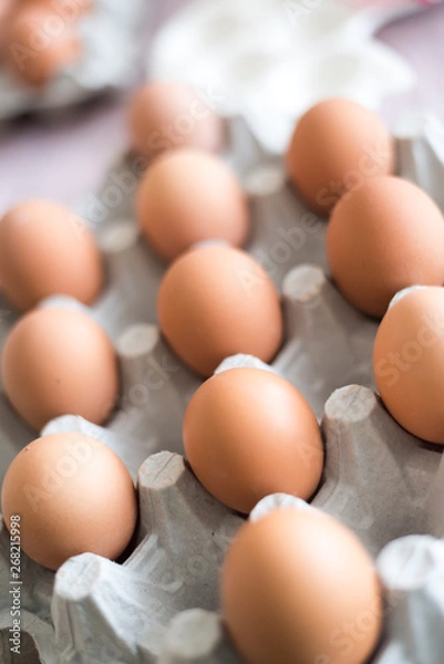 Fototapeta eggs placed in a egg carton