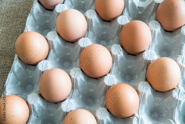 Obraz eggs placed in a egg carton