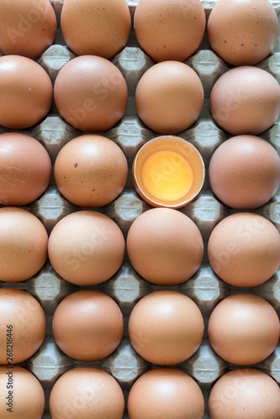 Obraz eggs placed in a egg carton
