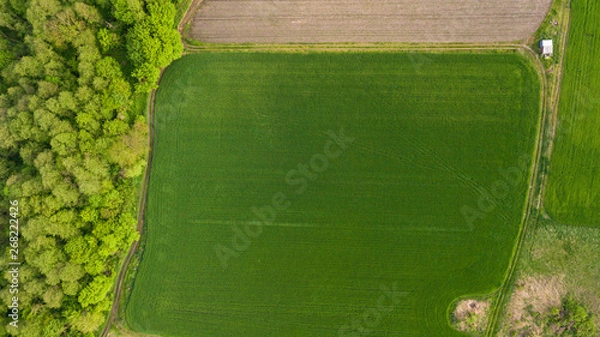 Fototapeta River and fields top view. Photographed from the drone. Beautiful view of the agropolis. Spring. Green fields