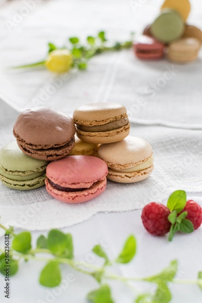 Obraz Macarons on white background and rustic wooden table