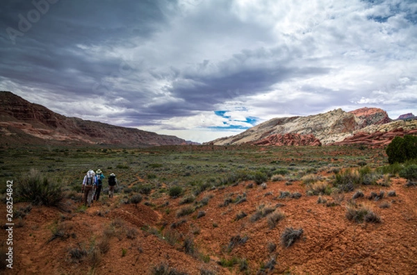 Fototapeta A group of backpackcers treks through the Waterpocket Fold and Halls Creek in Capitol Reef National Park