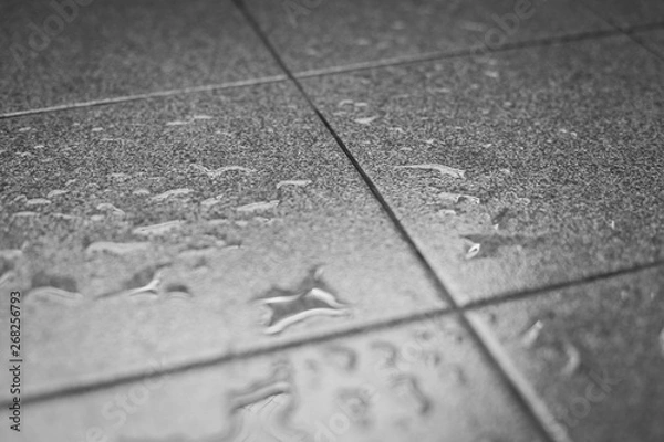 Fototapeta Water drops on the tile floor