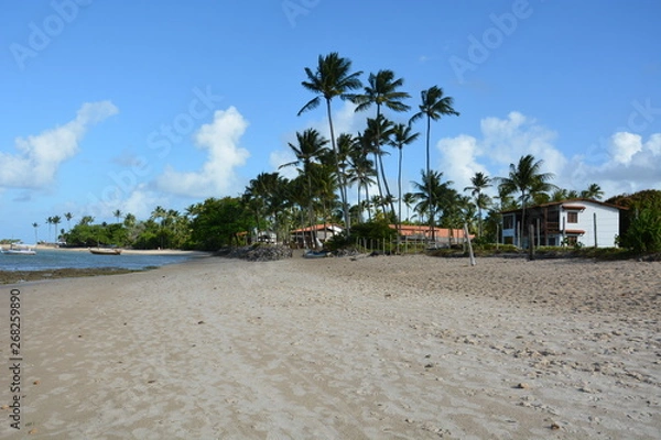 Obraz morro de sp - bahia 