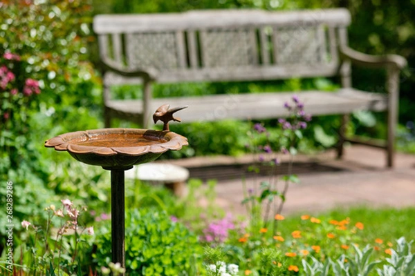 Obraz Idyllic view of a beautiful green and growing  springtime garden with flowering plants, grass and a bird bath and a wooden bench on a sunny day