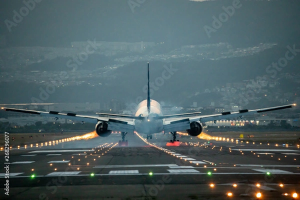 Obraz 大阪国際空港