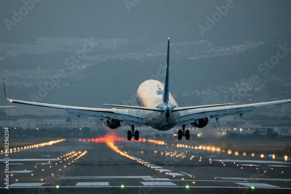 Obraz 大阪国際空港