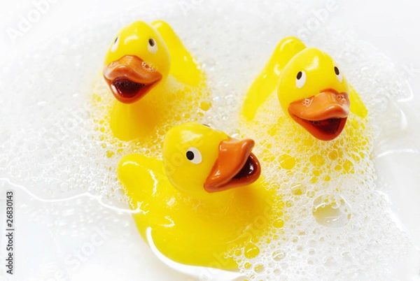 Obraz Three rubber ducks