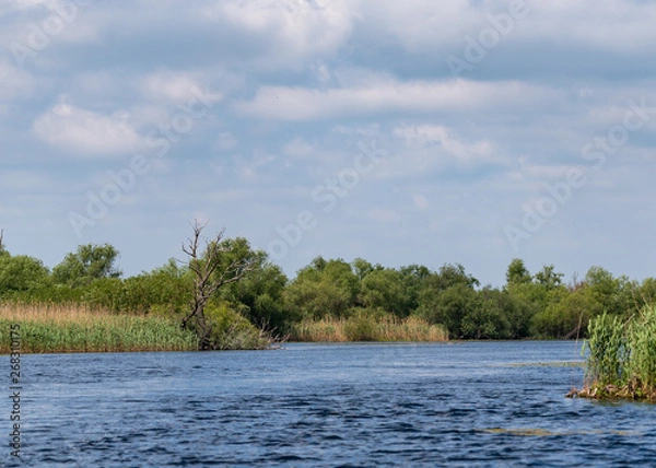 Fototapeta closed  channel in danube delta