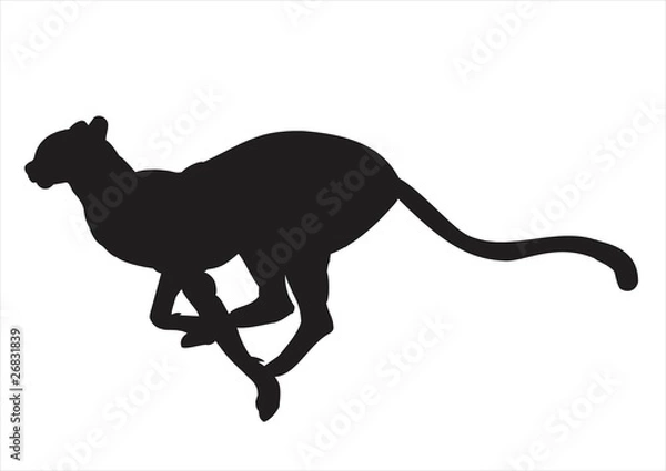 Obraz Sylwetka gepard