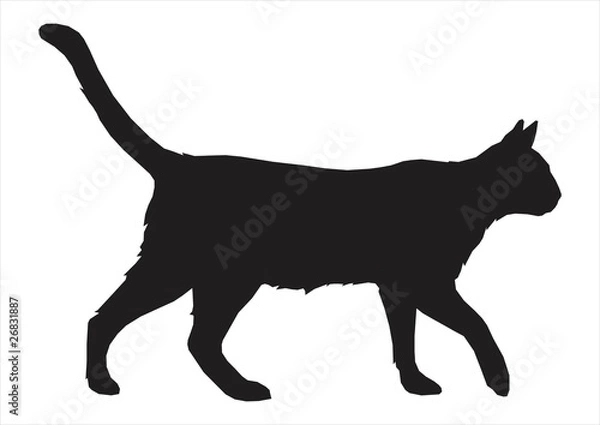 Fototapeta cat shilouette
