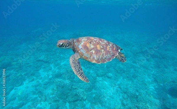 Obraz DCIM\100GOPRO\GOPR0753.