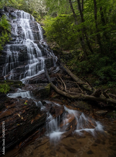Obraz Morning Light at Horsetrough