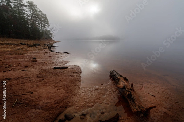 Obraz Light Through the Mist