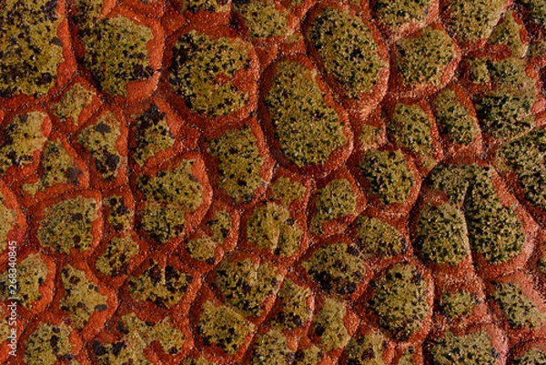 Obraz Red Dragon Scale