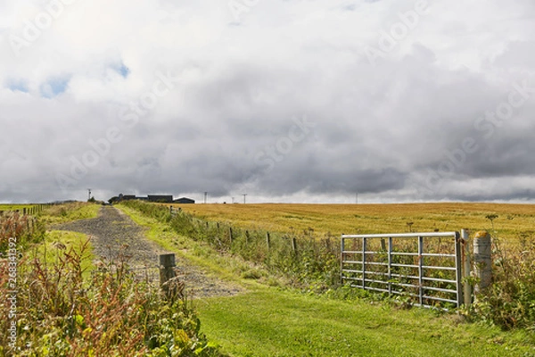 Fototapeta Landscape near John o'Groats area. Highlights nothern most mainland of Scotland.