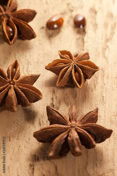 Obraz star anise spice