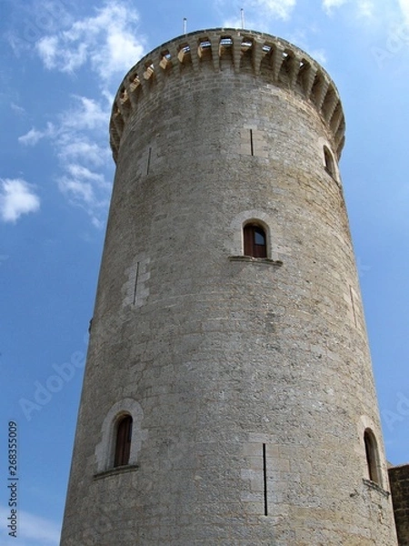 Obraz Torre en el castillo